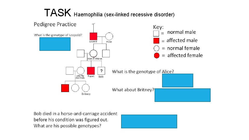 TASK Haemophilia (sex-linked recessive disorder) 