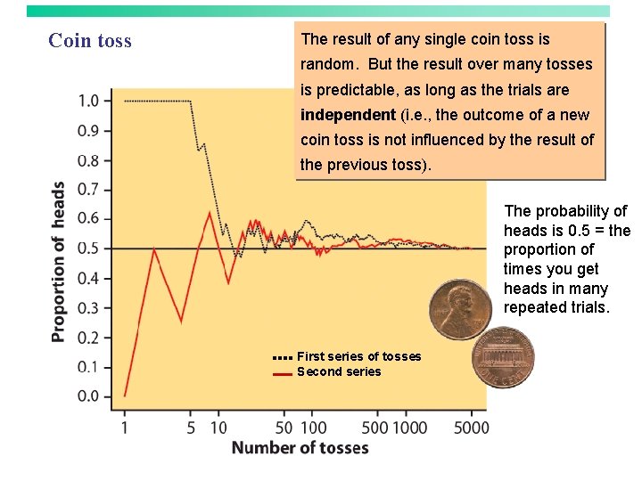 Coin toss The result of any single coin toss is random. But the result