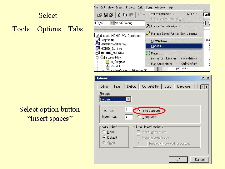 Select Tools. . . Options. . . Tabs Select option button “Insert spaces” 