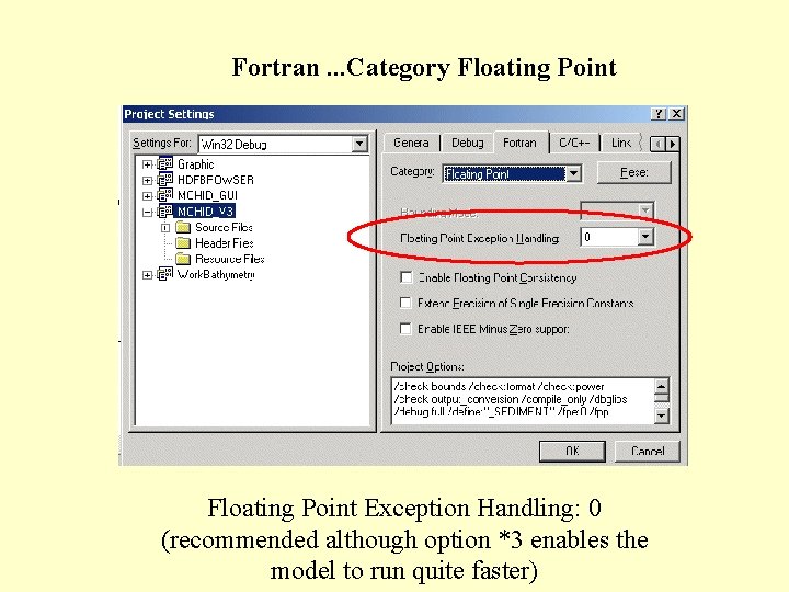 Fortran. . . Category Floating Point Exception Handling: 0 (recommended although option *3 enables