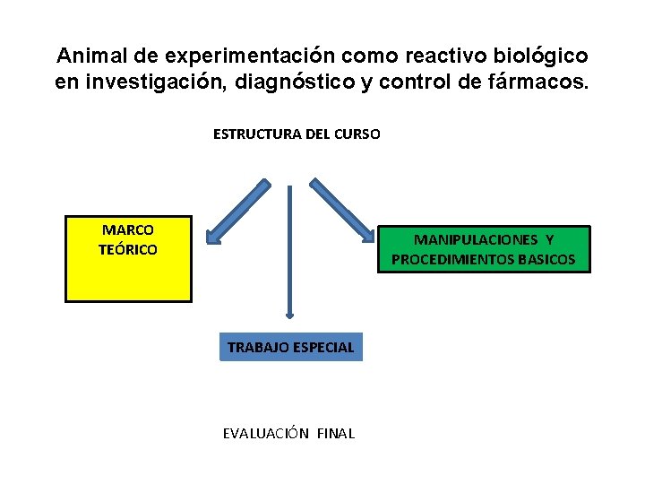 Animal de experimentación como reactivo biológico en investigación, diagnóstico y control de fármacos. ESTRUCTURA