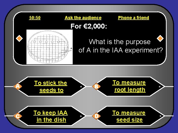 50: 50 Ask the audience Phone a friend For € 2, 000: What is