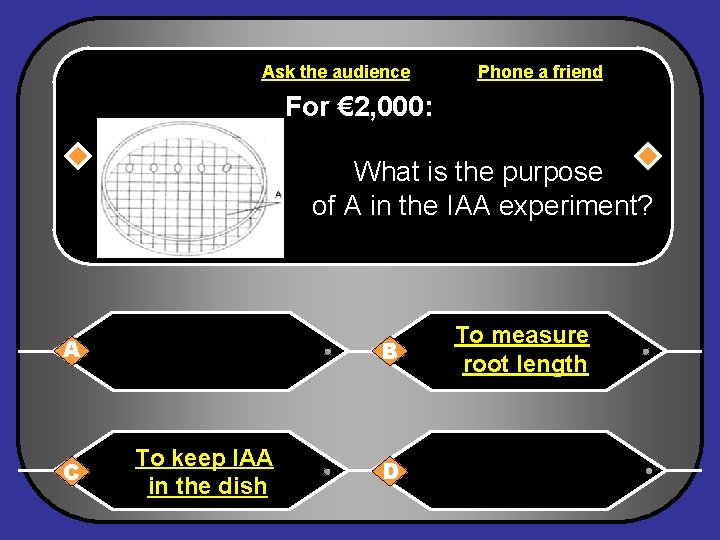 Ask the audience Phone a friend For € 2, 000: What is the purpose
