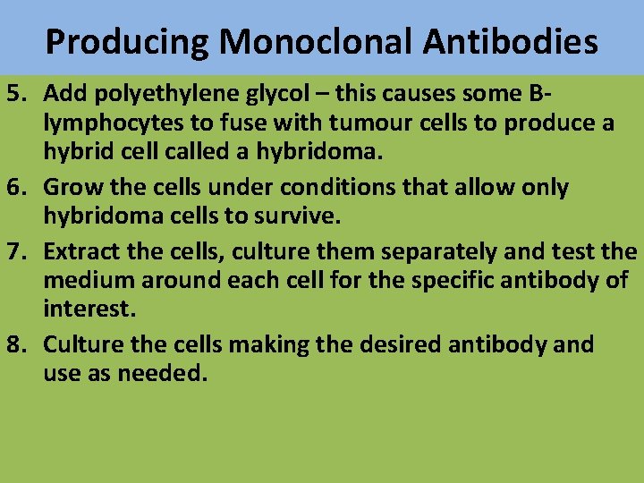 Producing Monoclonal Antibodies 5. Add polyethylene glycol – this causes some Blymphocytes to fuse