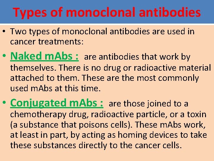 Types of monoclonal antibodies • Two types of monoclonal antibodies are used in cancer