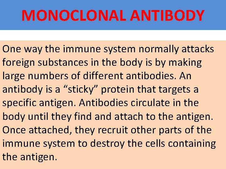 MONOCLONAL ANTIBODY One way the immune system normally attacks foreign substances in the body