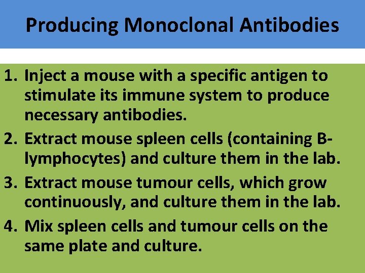 Producing Monoclonal Antibodies 1. Inject a mouse with a specific antigen to stimulate its