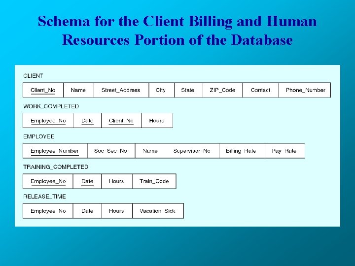 Schema for the Client Billing and Human Resources Portion of the Database 