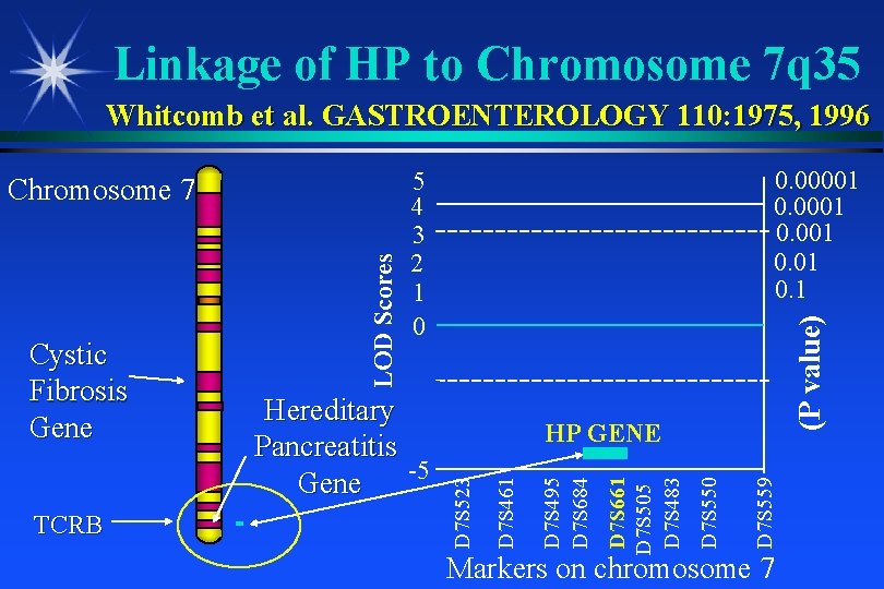 Linkage of HP to Chromosome 7 q 35 Whitcomb et al. GASTROENTEROLOGY 110: 1975,