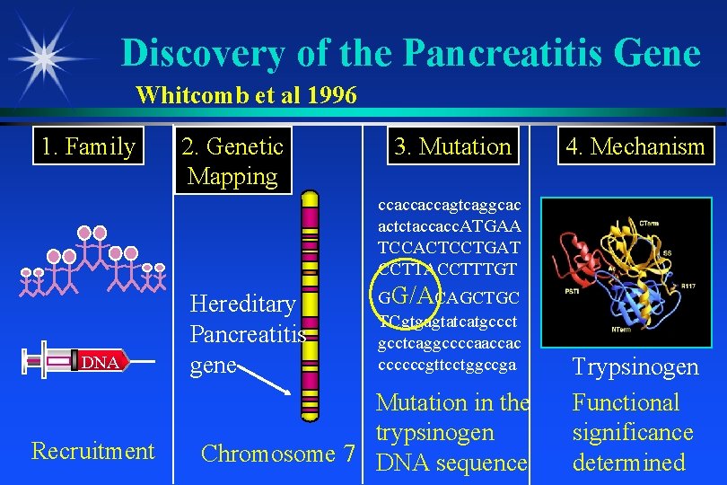 Discovery of the Pancreatitis Gene Whitcomb et al 1996 1. Family 2. Genetic Mapping