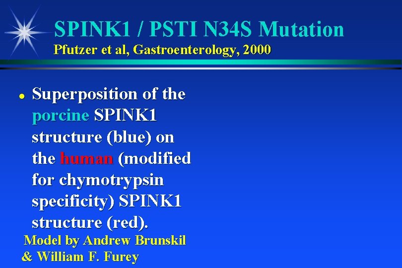SPINK 1 / PSTI N 34 S Mutation Pfutzer et al, Gastroenterology, 2000 Superposition