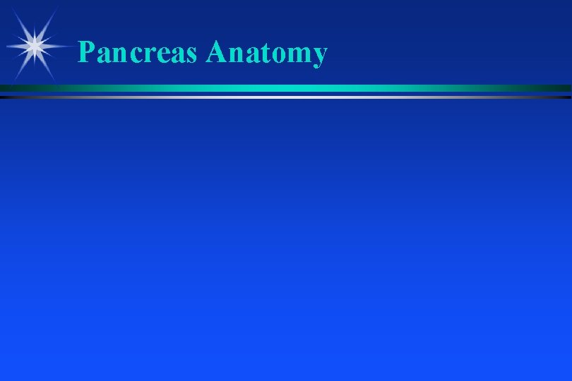 Pancreas Anatomy 