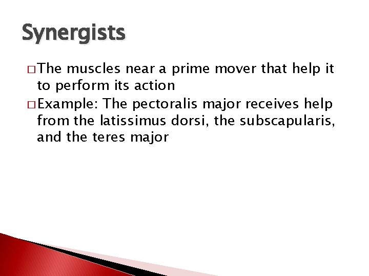 Synergists � The muscles near a prime mover that help it to perform its