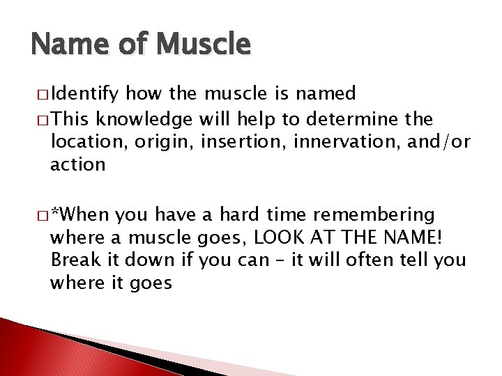 Name of Muscle � Identify how the muscle is named � This knowledge will
