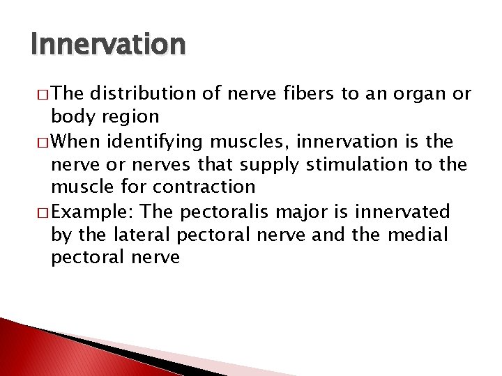 Innervation � The distribution of nerve fibers to an organ or body region �