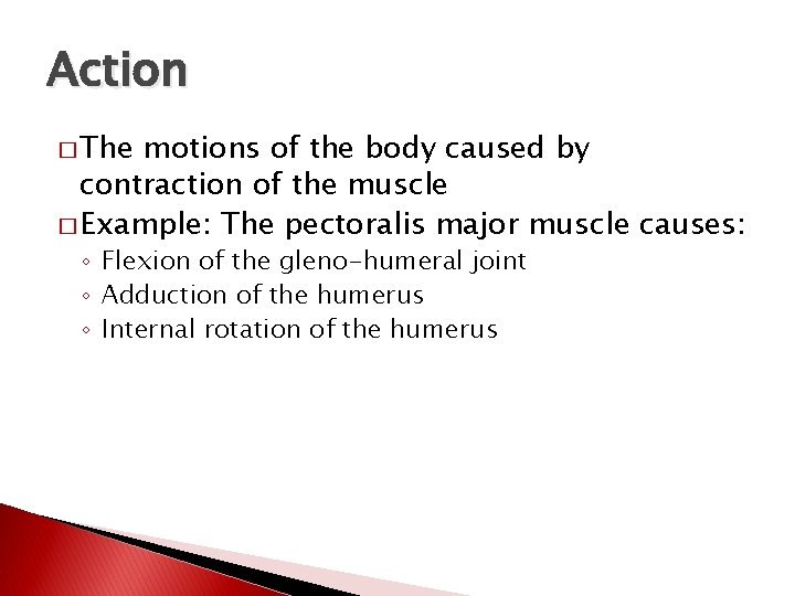 Action � The motions of the body caused by contraction of the muscle �