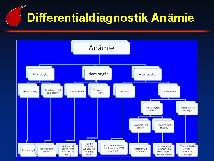 Differentialdiagnostik Anämie 