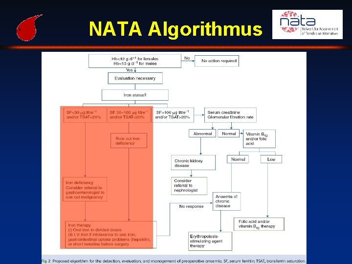 NATA Algorithmus 