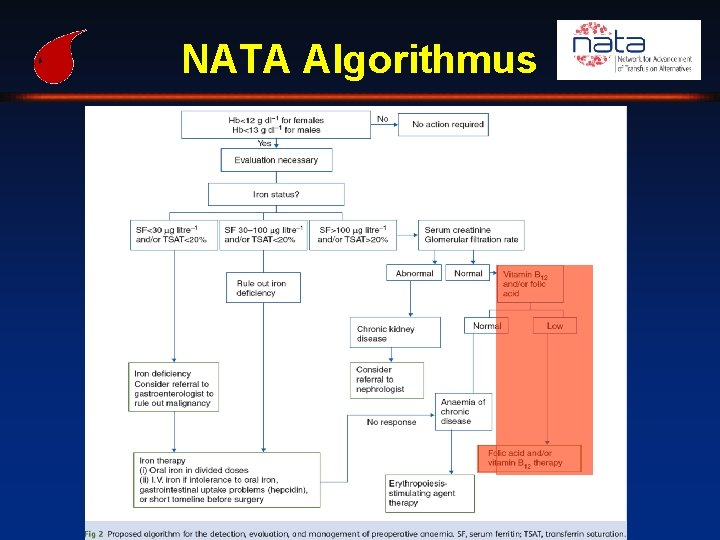 NATA Algorithmus 