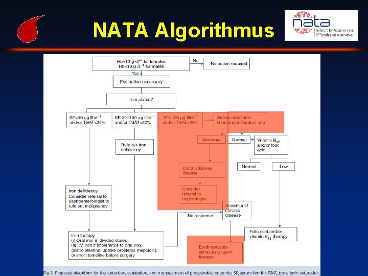 NATA Algorithmus 