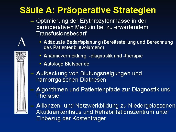 Säule A: Präoperative Strategien A – Optimierung der Erythrozytenmasse in der perioperativen Medizin bei