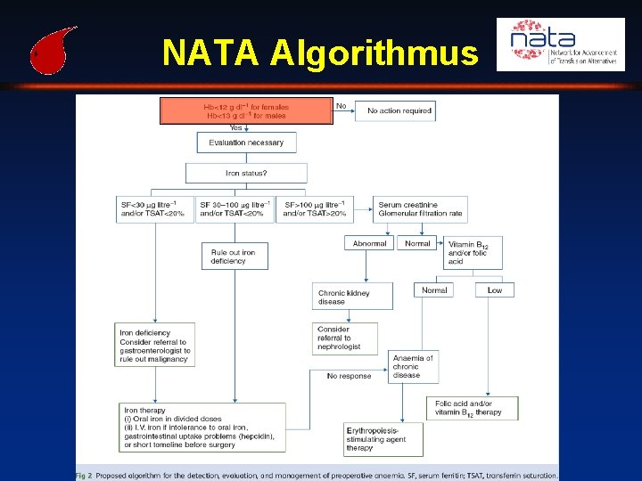 NATA Algorithmus 