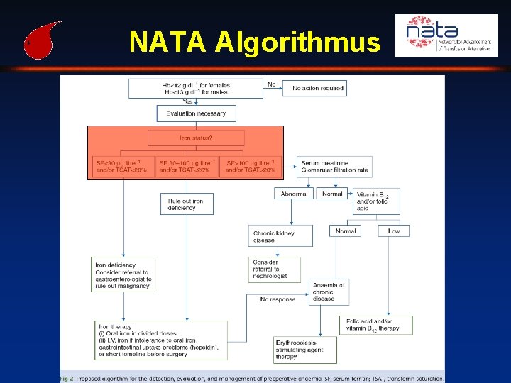 NATA Algorithmus 