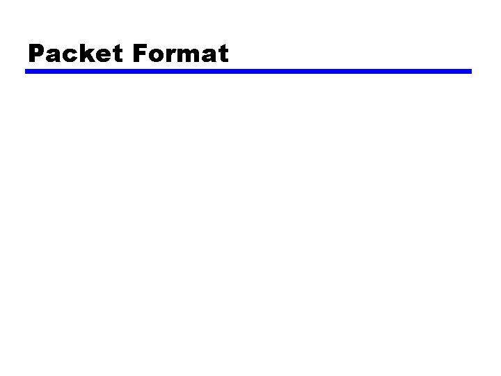 Packet Format 