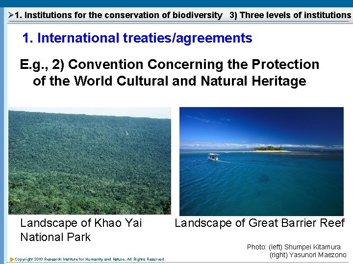 Ø 1. Institutions for the conservation of biodiversity 3) Three levels of institutions 1.