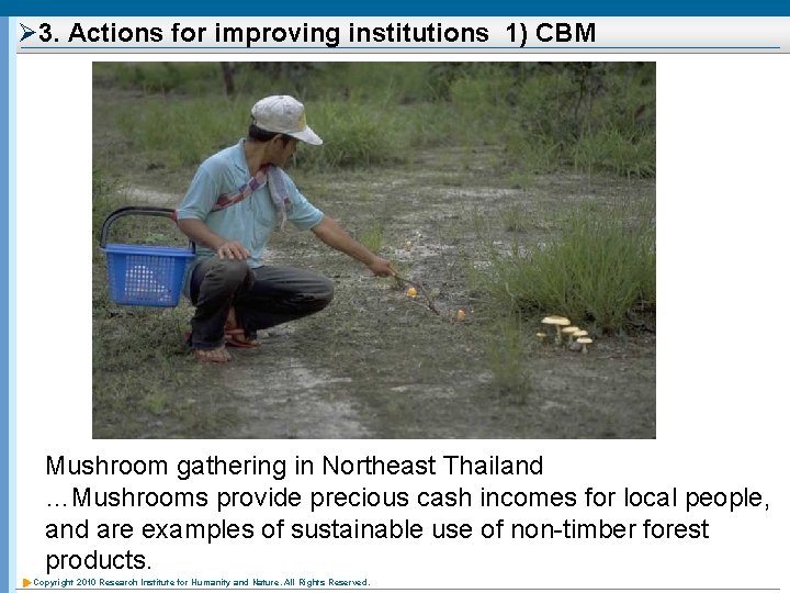 Ø 3. Actions for improving institutions 1) CBM Mushroom gathering in Northeast Thailand …Mushrooms