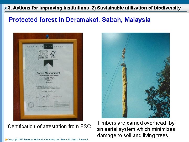 Ø 3. Actions for improving institutions 2) Sustainable utilization of biodiversity Protected forest in