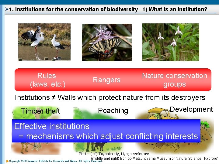 Ø 1. Institutions for the conservation of biodiversity 1) What is an institution? Rules