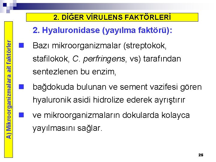 2. DİĞER VİRULENS FAKTÖRLERİ A) Mikroorganizmalara ait faktörler 2. Hyaluronidase (yayılma faktörü): n Bazı