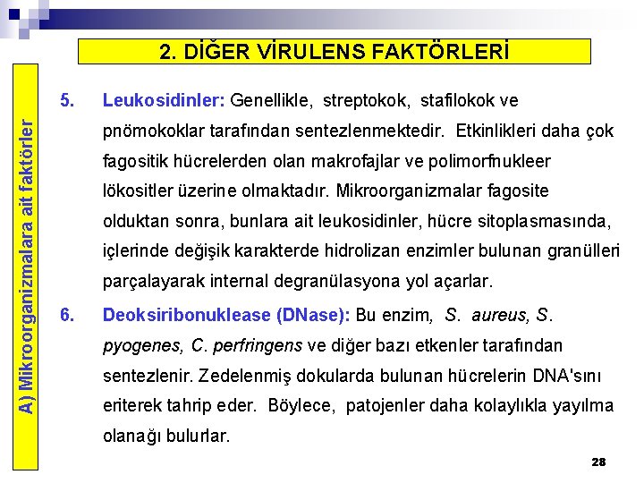 2. DİĞER VİRULENS FAKTÖRLERİ A) Mikroorganizmalara ait faktörler 5. Leukosidinler: Genellikle, streptokok, stafilokok ve