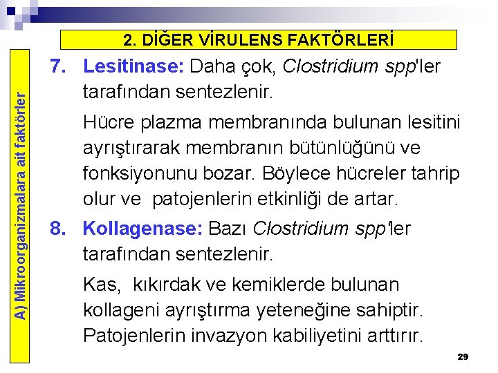 A) Mikroorganizmalara ait faktörler 2. DİĞER VİRULENS FAKTÖRLERİ 7. Lesitinase: Daha çok, Clostridium spp'ler