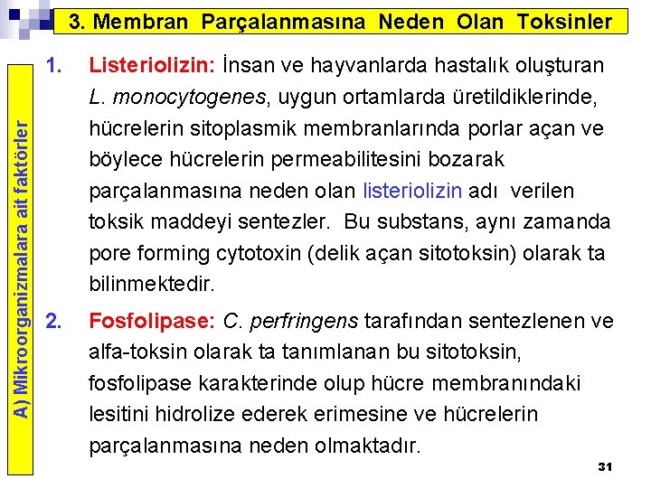 A) Mikroorganizmalara ait faktörler 3. Membran Parçalanmasına Neden Olan Toksinler 1. Listeriolizin: İnsan ve