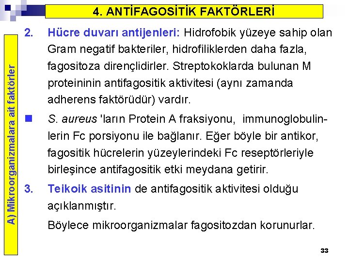 A) Mikroorganizmalara ait faktörler 4. ANTİFAGOSİTİK FAKTÖRLERİ 2. Hücre duvarı antijenleri: Hidrofobik yüzeye sahip