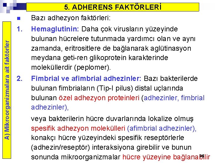 A) Mikroorganizmalara ait faktörler n 5. ADHERENS FAKTÖRLERİ Bazı adhezyon faktörleri: 1. Hemaglutinin: Daha