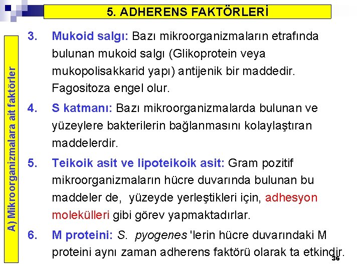 A) Mikroorganizmalara ait faktörler 5. ADHERENS FAKTÖRLERİ 3. Mukoid salgı: Bazı mikroorganizmaların etrafında bulunan