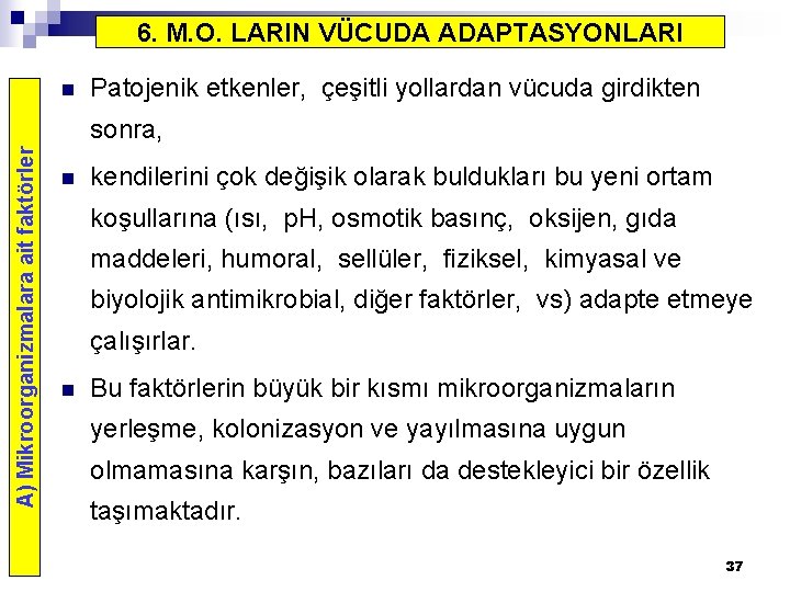 6. M. O. LARIN VÜCUDA ADAPTASYONLARI n Patojenik etkenler, çeşitli yollardan vücuda girdikten A)