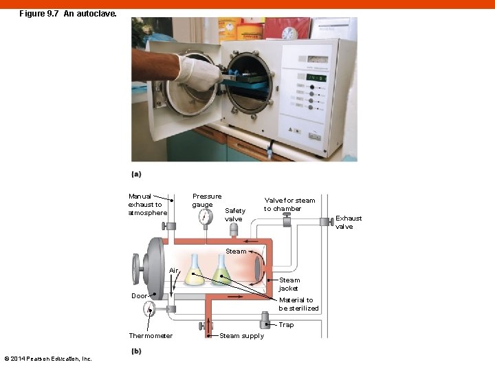 Figure 9. 7 An autoclave. Manual exhaust to atmosphere Pressure gauge Safety valve Valve