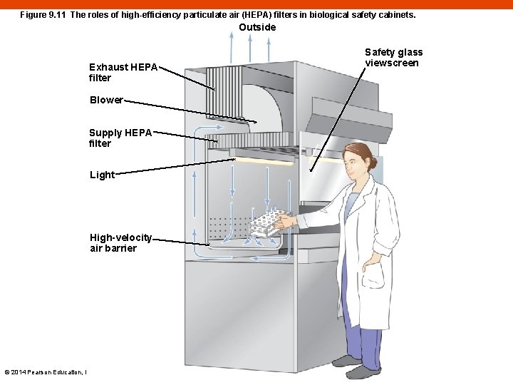Figure 9. 11 The roles of high-efficiency particulate air (HEPA) filters in biological safety