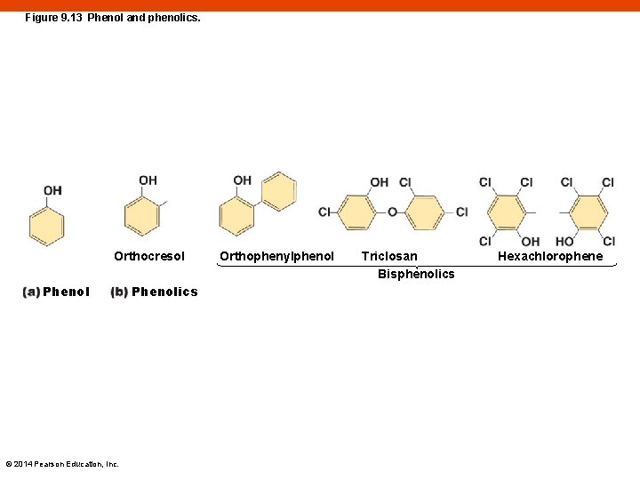 Figure 9. 13 Phenol and phenolics. Orthocresol Phenol © 2014 Pearson Education, Inc. Phenolics