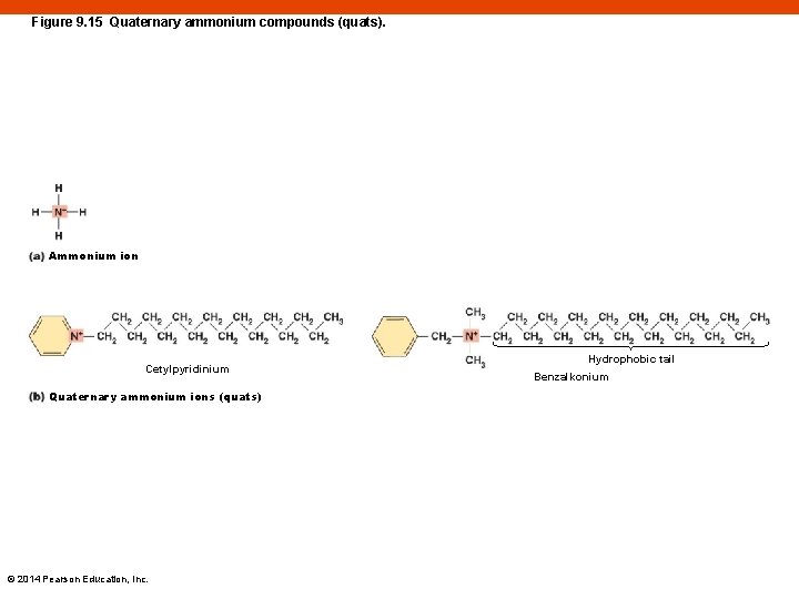 Figure 9. 15 Quaternary ammonium compounds (quats). Ammonium ion Cetylpyridinium Quaternary ammonium ions (quats)