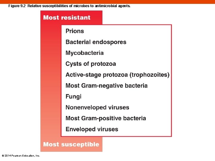 Figure 9. 2 Relative susceptibilities of microbes to antimicrobial agents. © 2014 Pearson Education,