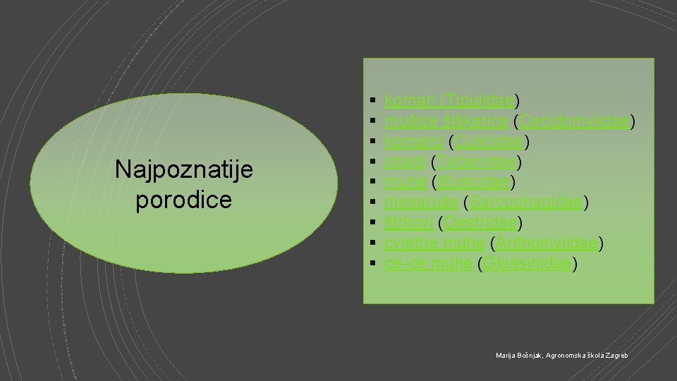 Najpoznatije porodice § § § § § komari (Tipulidae) mušice šiškarice (Cecidomyiidae) komarci (Culicidae)