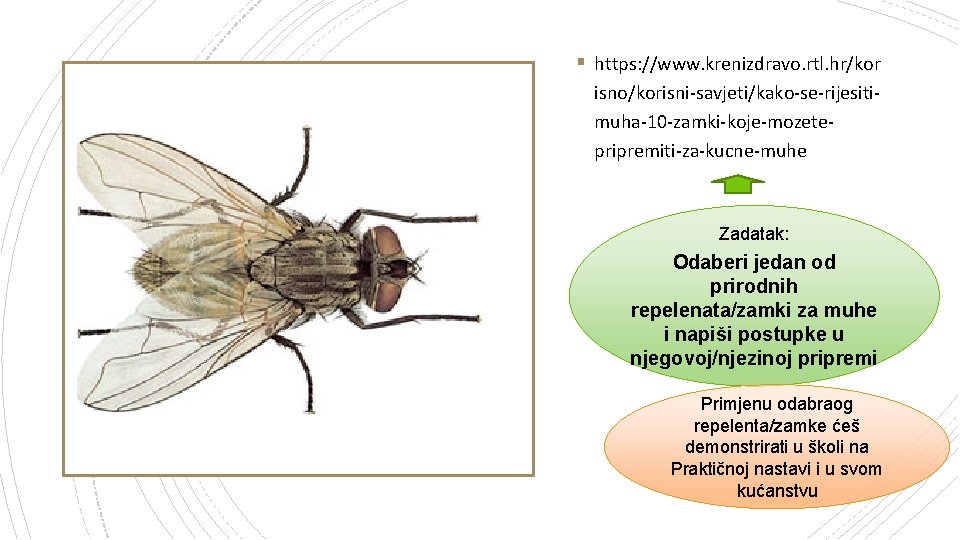 § https: //www. krenizdravo. rtl. hr/kor isno/korisni-savjeti/kako-se-rijesitimuha-10 -zamki-koje-mozetepripremiti-za-kucne-muhe Zadatak: Odaberi jedan od prirodnih repelenata/zamki