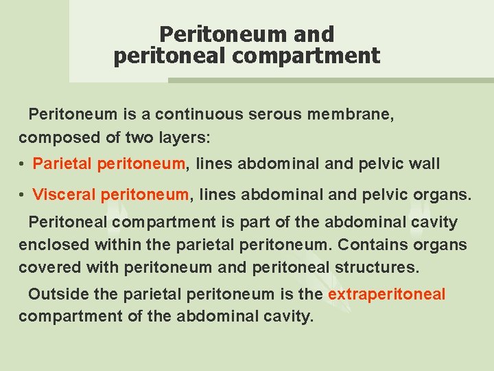 Peritoneum and peritoneal compartment Peritoneum is a continuous serous membrane, composed of two layers: