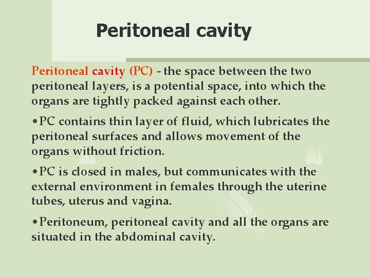 Peritoneal cavity (PC) - the space between the two peritoneal layers, is a potential