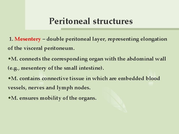 Peritoneal structures 1. Mesentery – double peritoneal layer, representing elongation of the visceral peritoneum.